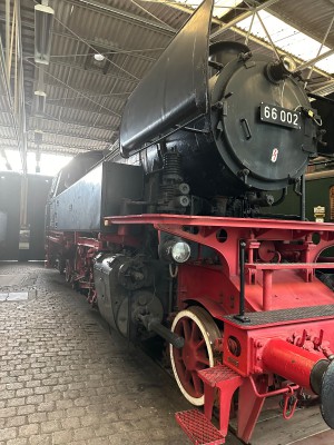 IMG_4768.jpeg